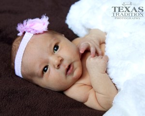 dallas newborn portraits_0121